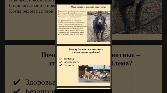 Новокузнецк развивай-ка детям 2025