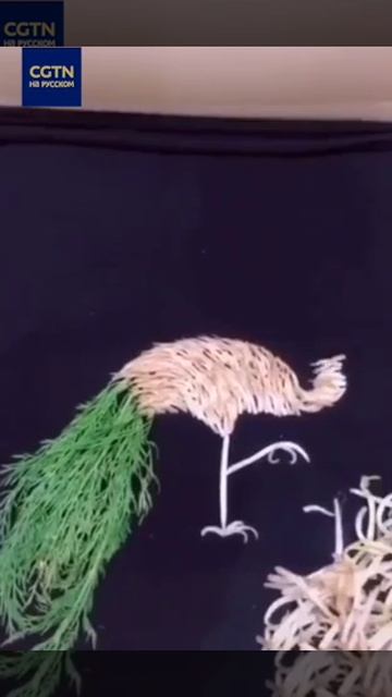 Стоп-моушн анимация из пророщенных бобов смотреть онлайн