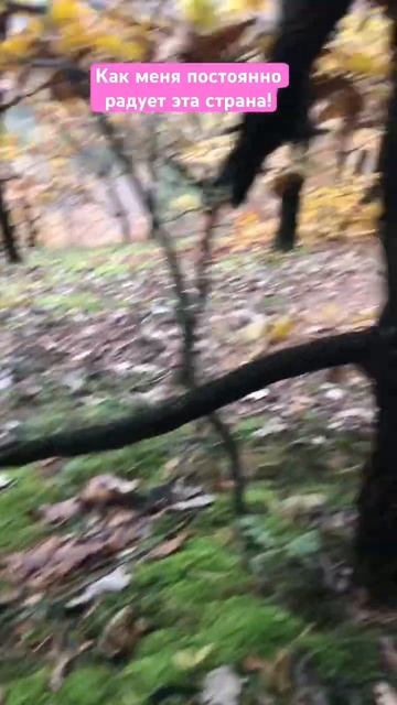 #сербия НЕКОТОРЫЕ УЖЕ КАК ЛЁД 🧊! смотреть онлайн