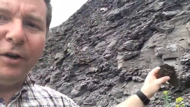 Sedimentary Shale in Outcrop