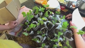 Влог от 06.07.2020