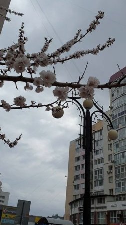 Такая красота и снег