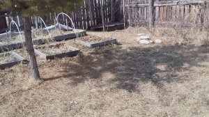 Дачный сезон можно открывать, снег растаял и уже тепло.