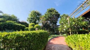 KOH PHI PHI - Chaokoh Phi Phi Hotel And Resort Review 🇹🇭 Thailand