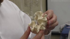 Дисфункции позвоночника - блок фасеточных суставов. Короткий ролик с семинара.