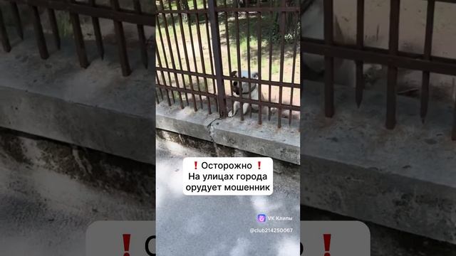 vkclips_20250408043525