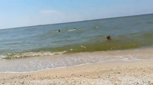 Архивное видео "Самое клосное место для отдыха у нас в Ейске"