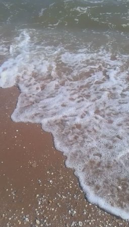 Люблю тебя, морюшко