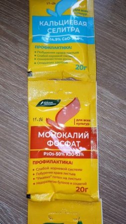 Супер крепкая рассада. Метод "3 × 5".