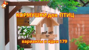 Кормушка для птиц своими руками как сделать пошагово  (179) 🪚🪛🔨 Идеи для дачи и сада❣️