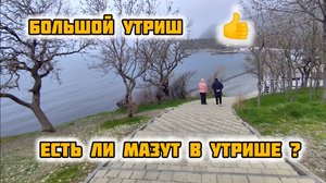 БОЛЬШОЙ УТРИШ! ЕСТЬ ЗДЕСЬ МАЗУТ? Будет ли Сезон. утриш