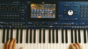New Euro Disco Style Korg pa5x Instrumental