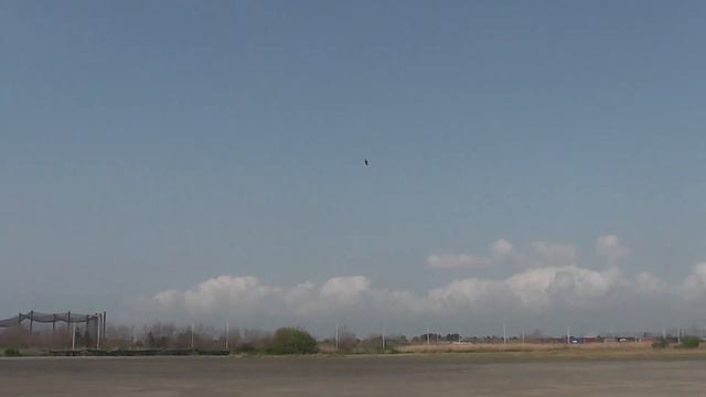 2014 4 26 masaさん Mikado LOGO600SX смотреть онлайн