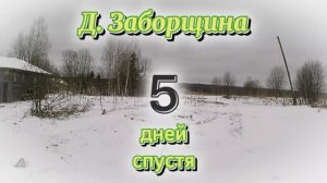 Деревня Заборщина, 5 дней спустя.mp4