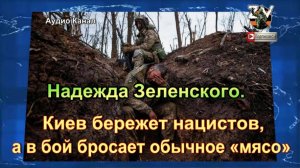 Надежда Зеленского. Киев бережет нацистов, а в бой бросает обычное «мясо»