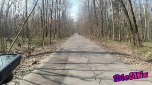 Вылозка в национальный парк Лосиный остров