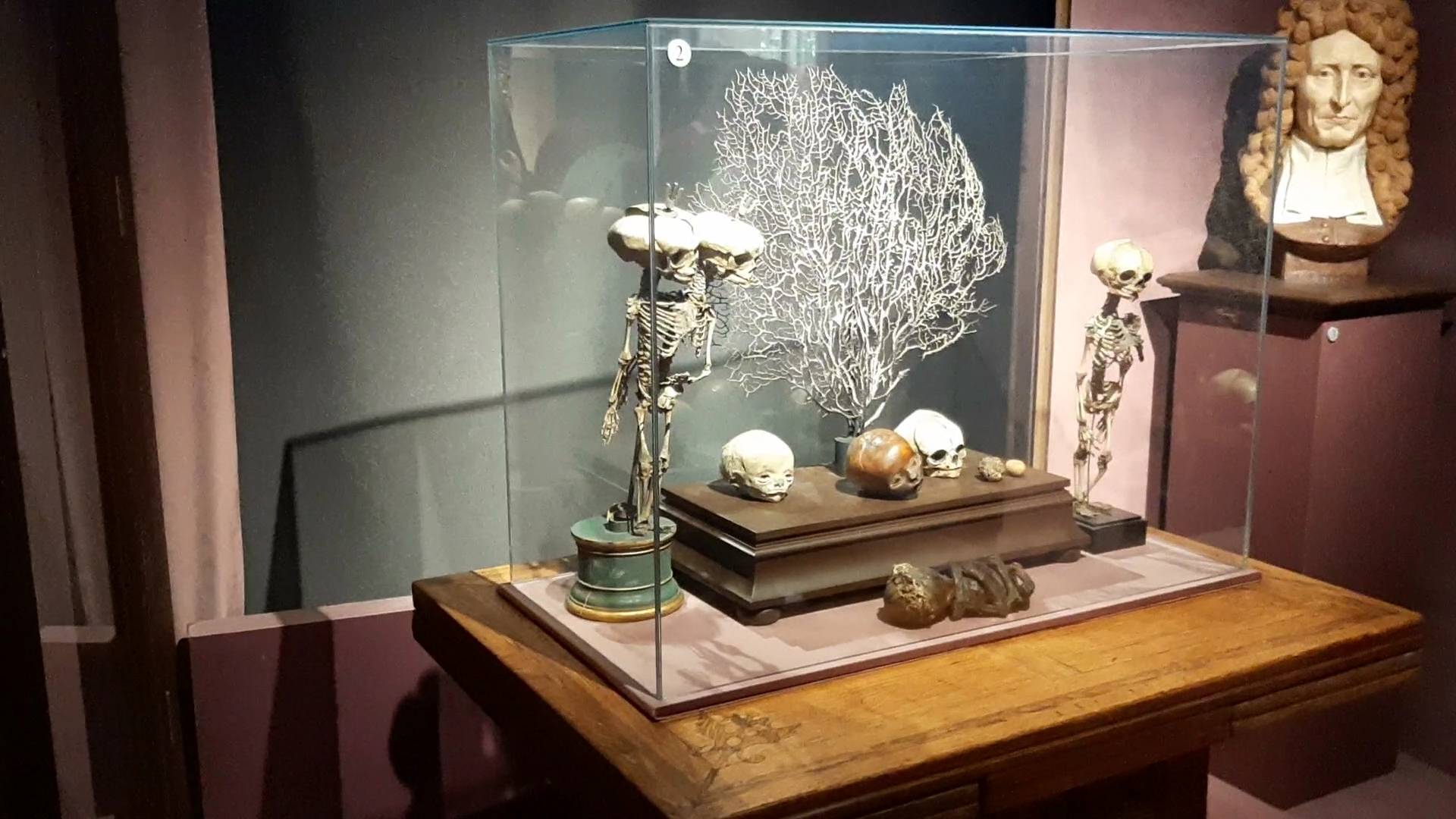 Кунст - камера смотреть онлайн