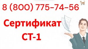 Оформить сертификат СТ-1