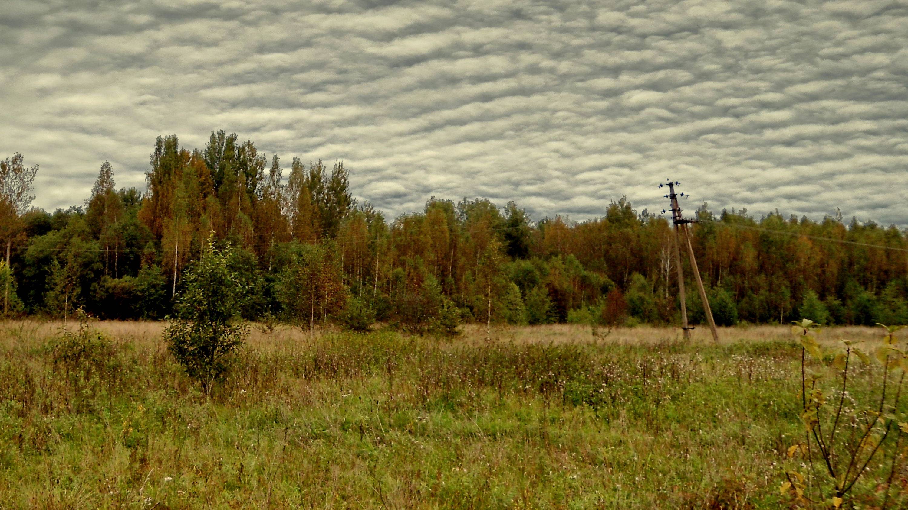 На природе - 13 (слайд-шоу из моих фотографий)