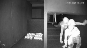 Путешествие в темноте