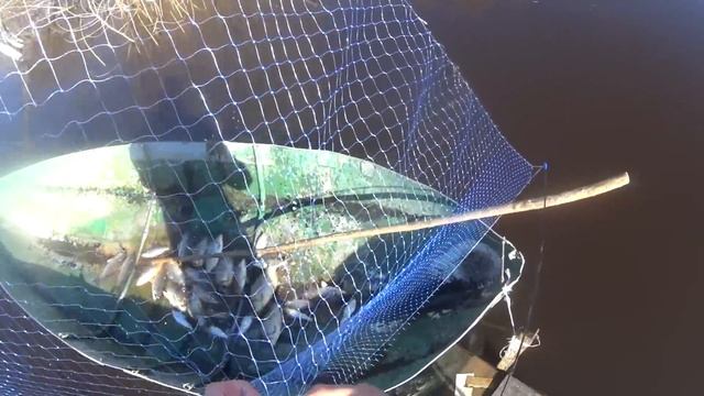 Самодельный мостик вновь меня не подвел... Рыбалка на подьёмник и хапуги