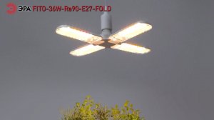 Фитолампа для растений светодиодная ЭРА FITO-36W-Rа90-E27-FOLD 4-х лепестковая полного спектра