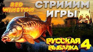 РУССКАЯ РЫБАЛКА 4 - оз. Янтарное - ловим карпов: АЛЬБИНОС, ПРИРАК и т.д.