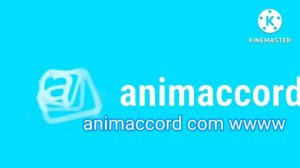 animaccord 2029