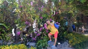 Начанг 2015 год, авг-сент, фильм от гугла. Винперл