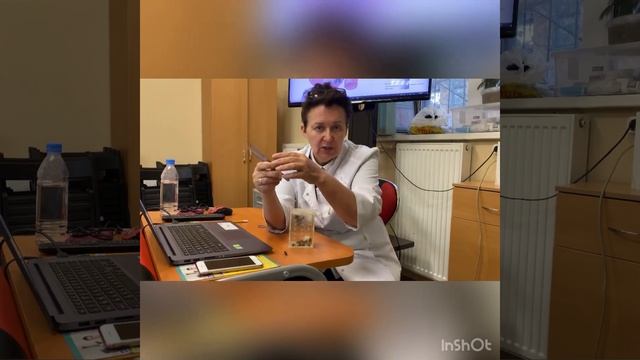 Как научиться дозировать пчелиный яд . Научу на курсах апигирудотерапии  11, 12, 13 апреля . Успейте