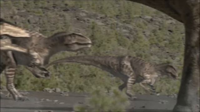 Top 3 land Carnivores смотреть онлайн