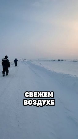 За полярным кругом | Командировка на Ямал