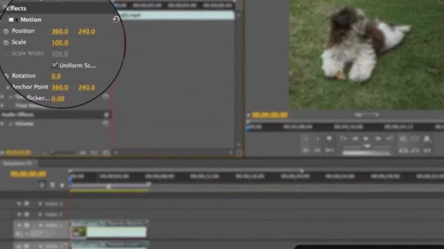 Transforming Video Clips   Adobe Premiere Pro CS5 Video Tutorials смотреть онлайн