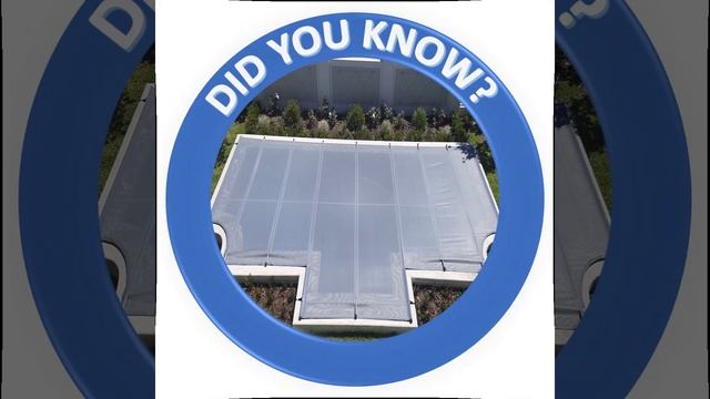 Did You Know?? смотреть онлайн