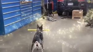 Китайский юмор № 9