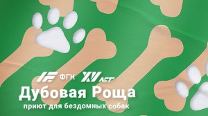 Любовь и поддержка для четвероногих друзей 🐾