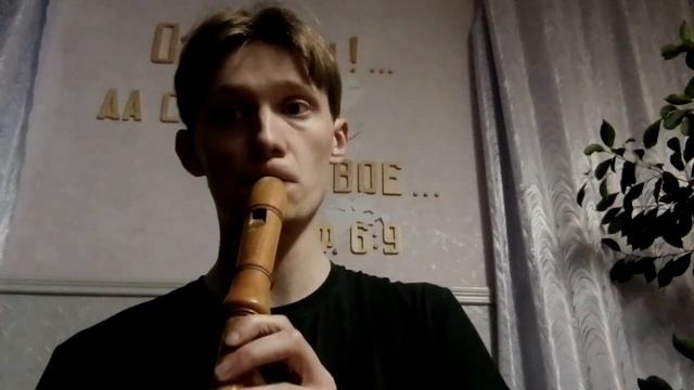 В лесу родилась ёлочка Блок-Флейта альт VS профессиональная поперечная флейта смотреть онлайн