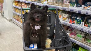 ОДИН ДЕНЬ ИЗ МОЕЙ ЖИЗНИ / 1 ЧАСТЬ