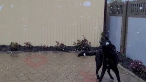 ✨️Анатольевич рулит 🫶🫶✨️