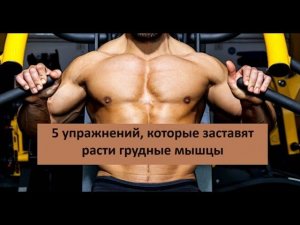 5 упражнений, которые заставят расти грудные мышцы