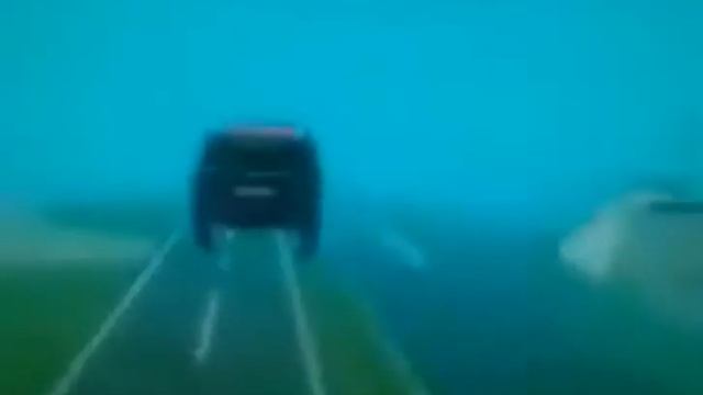 влад визер гари вест дамагер гризли скачал армагедон в5 бу бутовски смотреть онлайн