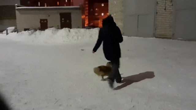 Лео учит ринговку смотреть онлайн