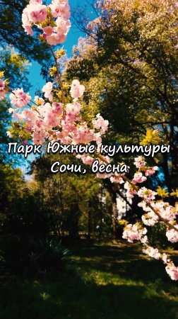 Парк Южные культуры, Сочи. Весна