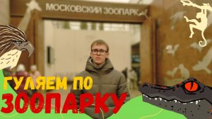 ГУЛЯЕМ ПО ЗООПАРКУ