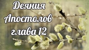 Деяния Апостолов глава 12