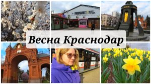 Весна Краснодар