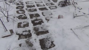 Друг виноградаря