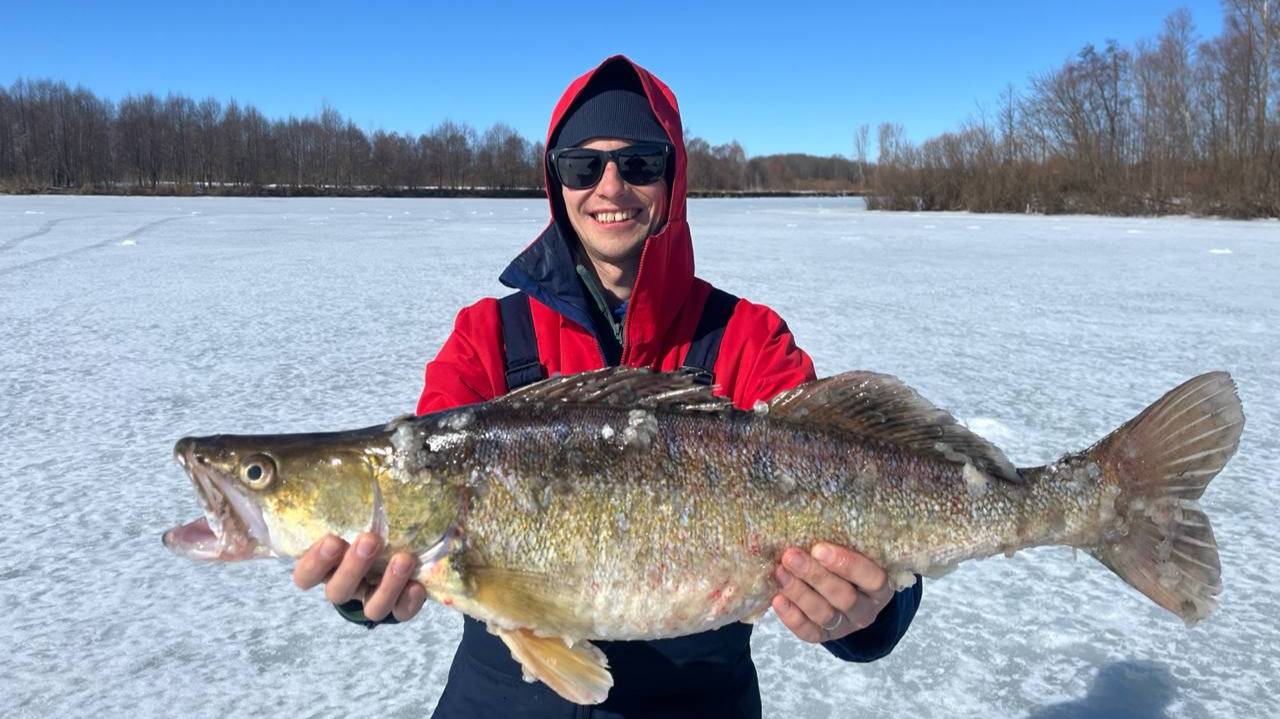 Закрытие Зимнего Сезона.Огромный Судак на Жерлицы.Рыбалка с Ночевкой на реке Иж. смотреть онлайн