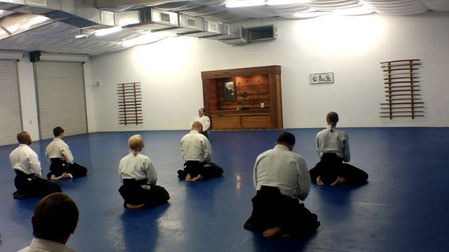 Florida Aikido Seminar 2019 (Shijan Michael Moreno) смотреть онлайн