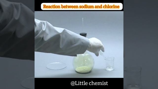 Reaction between sodium and chlorine #shortsfeed #scienceexperiment #sciencefacts смотреть онлайн